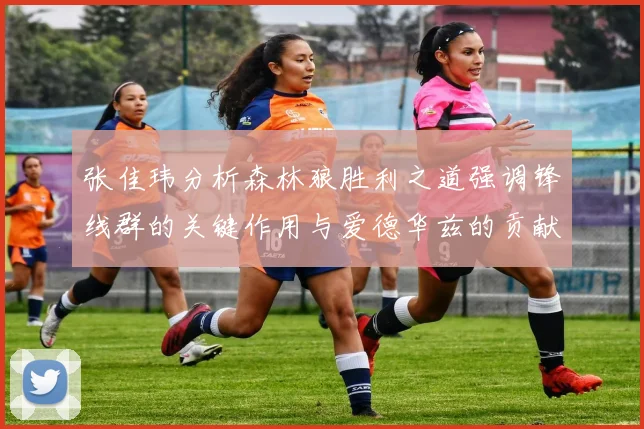 张佳玮分析森林狼胜利之道强调锋线群的关键作用与爱德华兹的贡献