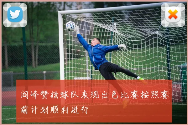 阎峰赞扬球队表现出色比赛按照赛前计划顺利进行